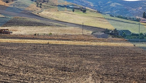 BEYNAM MAH 14.500 M2 TEK TAPU ÇİFTLİK ARAZİSİ
